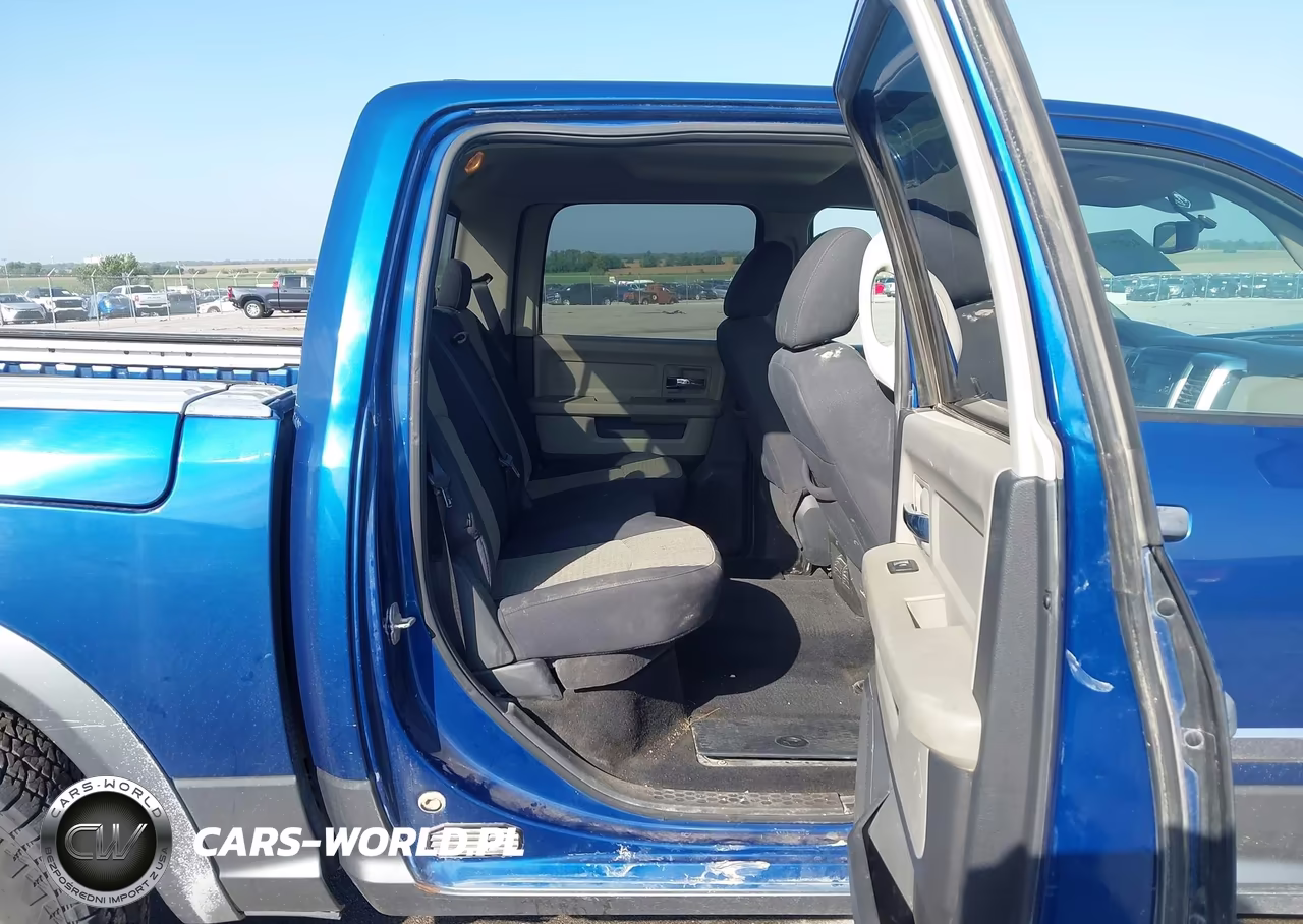 2010 Dodge Ram 1500 Slt-Sport-Trx VIN:1D7RV1CT5AS260684 - 8