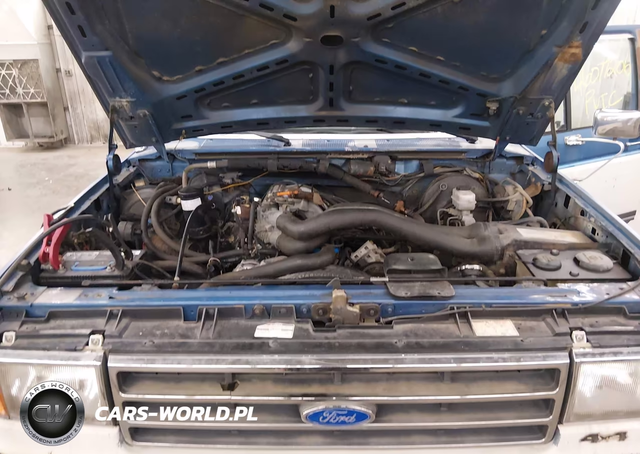 1989 Ford F250 VIN:1FTEF26N5KPB06425 - 10
