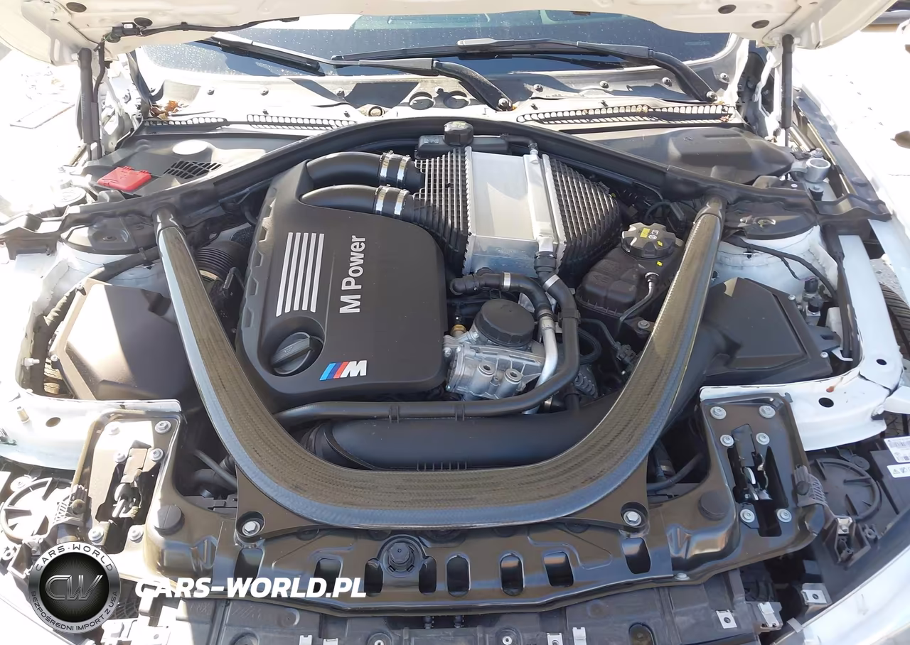 2016 BMW M4 VIN:WBS3R9C56GK338122 - 10