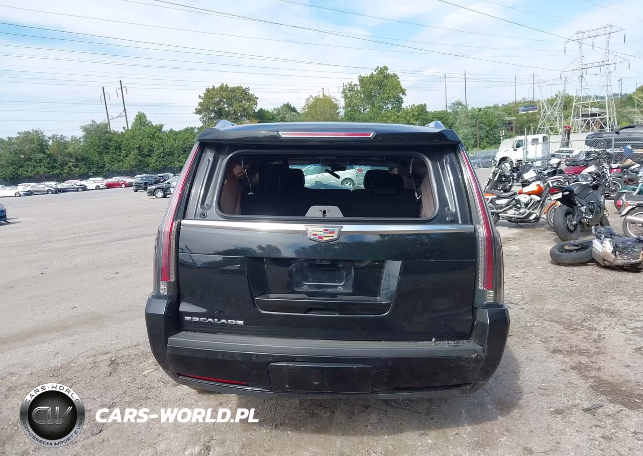 2019 Cadillac Escalade Esv Luxury VIN:1GYS4HKJ4KR112858 - 16