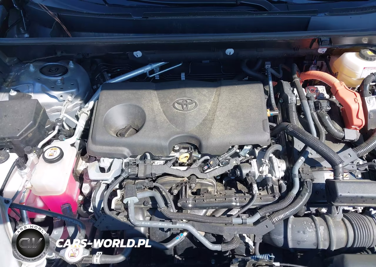 2024 Toyota Rav4 Hybrid Xle VIN:4T3RWRFV5RU162955 - 10