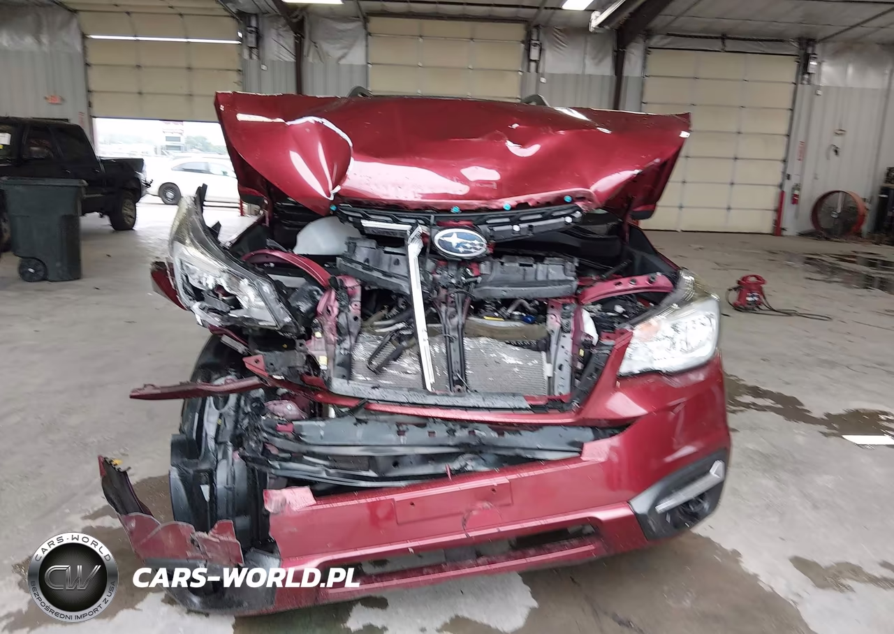 2017 Subaru Forester 2.5I Premium VIN:JF2SJAEC4HH593939 - 12