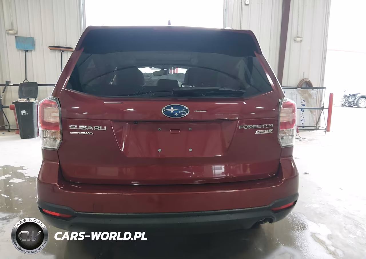 2017 Subaru Forester 2.5I Premium VIN:JF2SJAEC4HH593939 - 16