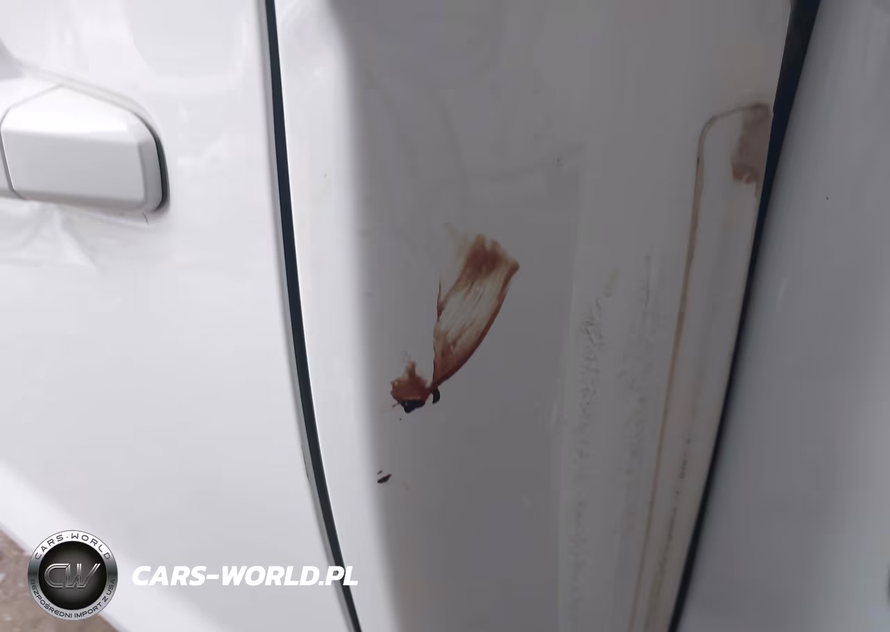 2019 Chevrolet Silverado 1500 Lt VIN:3GCUYDED3KG176908 - 17