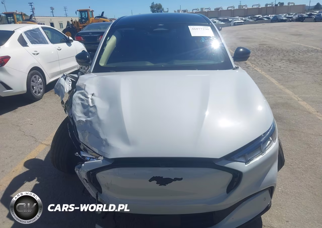 2023 Ford Mustang Mach-E Premium VIN:3FMTK3R70PMB03673 - 12
