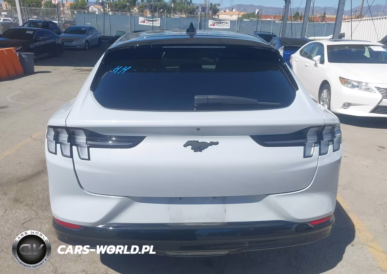 2023 Ford Mustang Mach-E Premium VIN:3FMTK3R70PMB03673 - 16