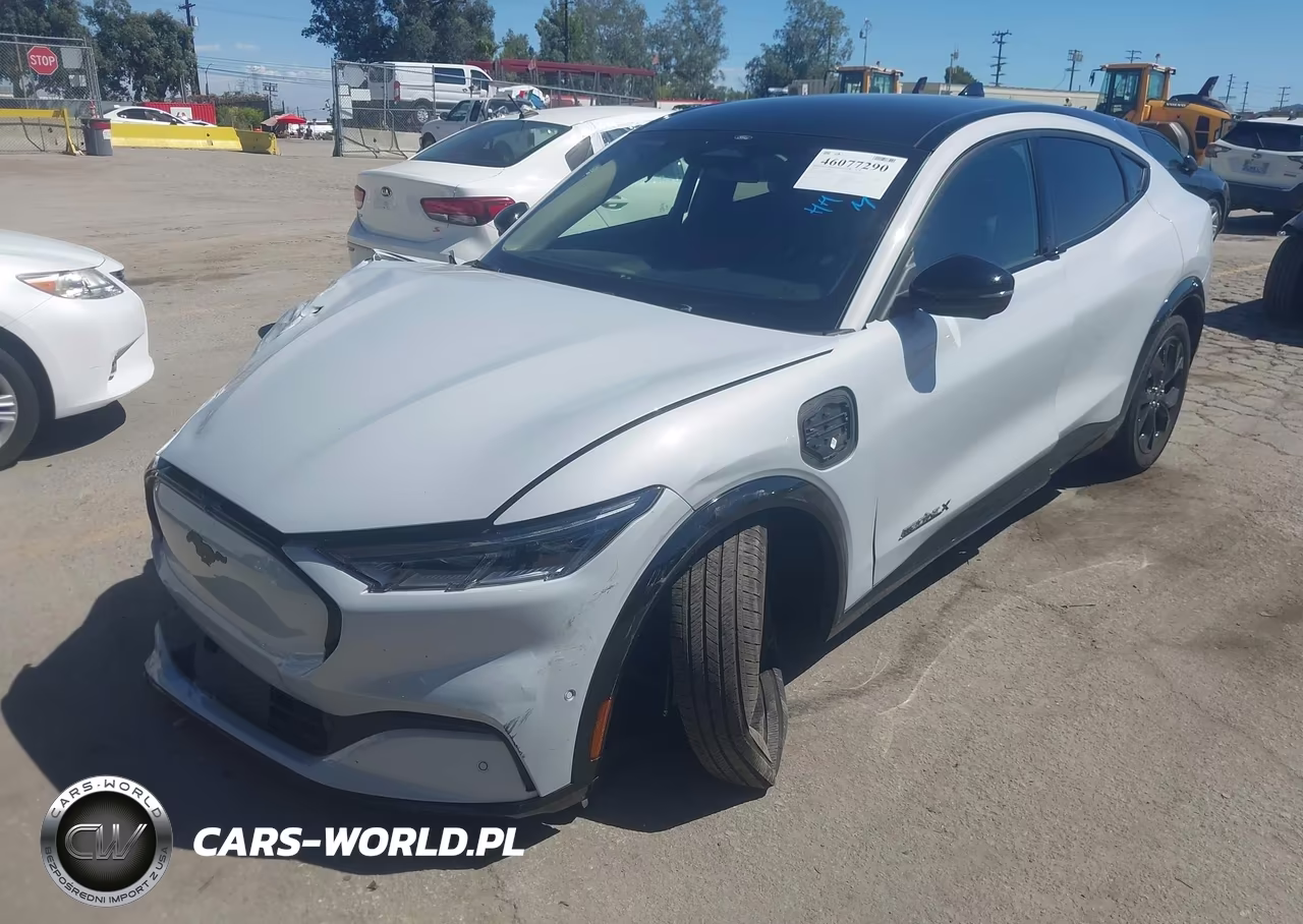 2023 Ford Mustang Mach-E Premium VIN:3FMTK3R70PMB03673 - 2