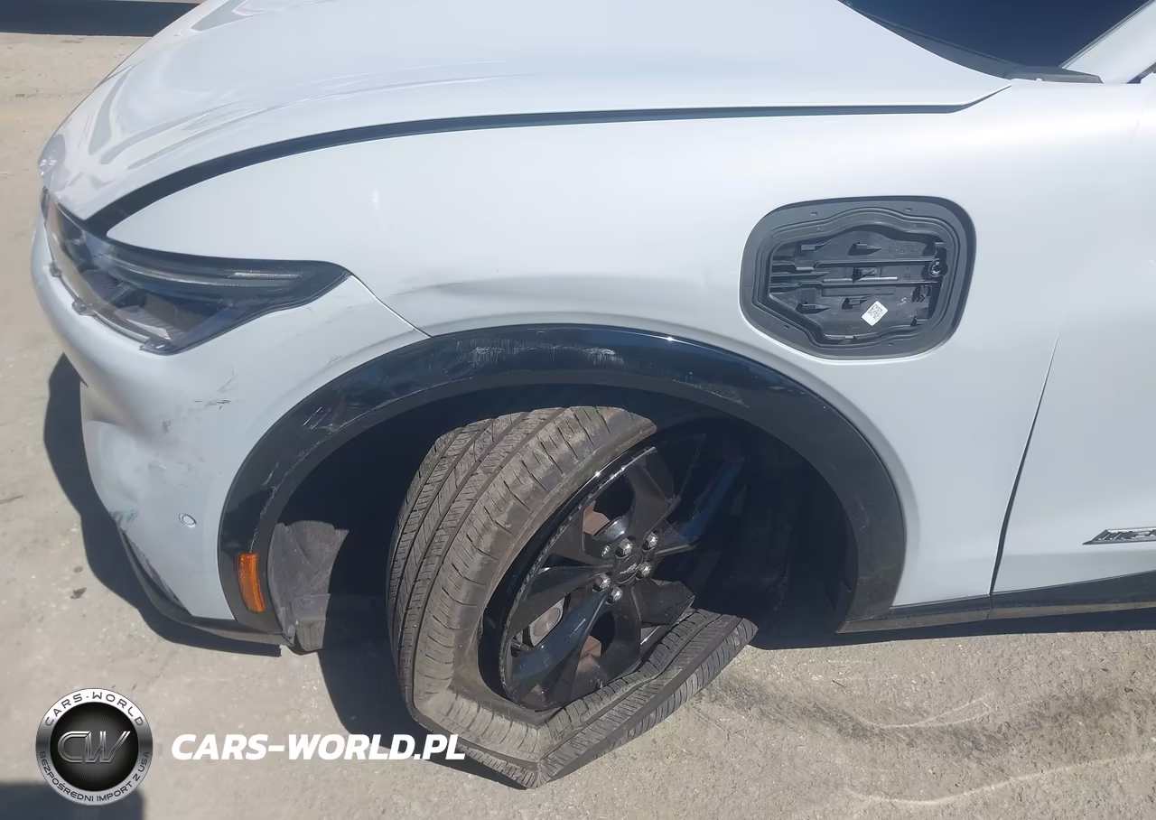 2023 Ford Mustang Mach-E Premium VIN:3FMTK3R70PMB03673 - 21