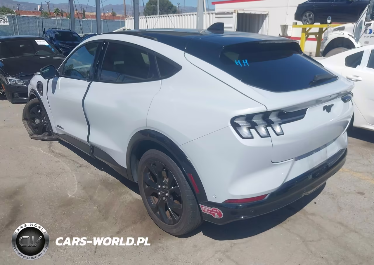 2023 Ford Mustang Mach-E Premium VIN:3FMTK3R70PMB03673 - 3