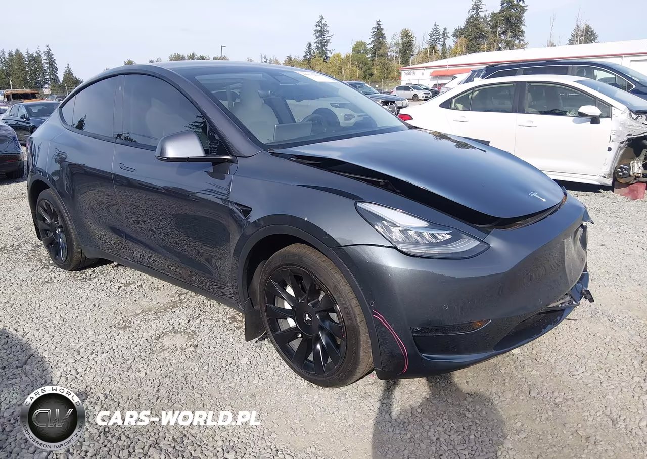 2020 Tesla Model Y Long Range Dual Motor All-Wheel Drive