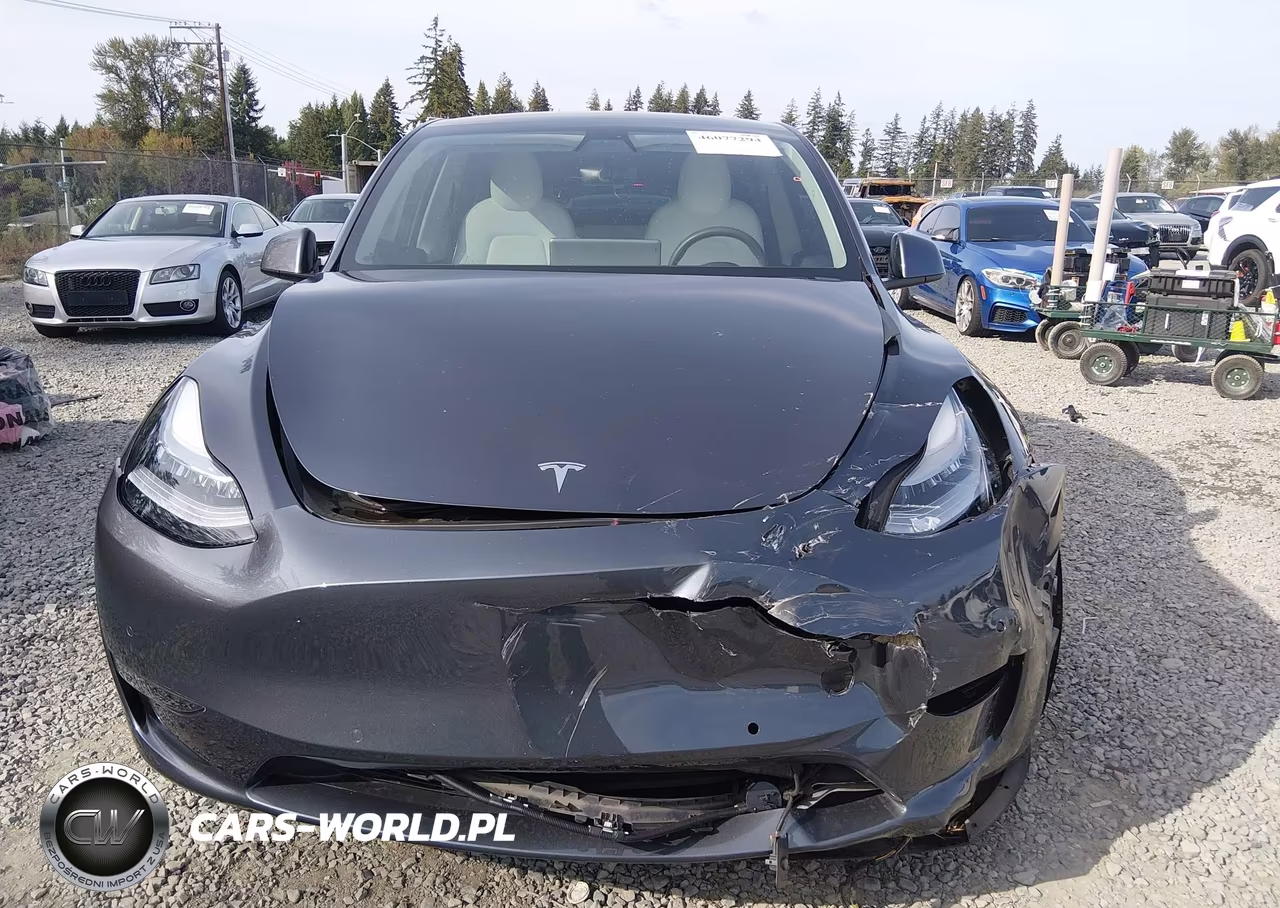 2020 Tesla Model Y Long Range Dual Motor All-Wheel Drive VIN:5YJYGDEE7LF034792 - 12