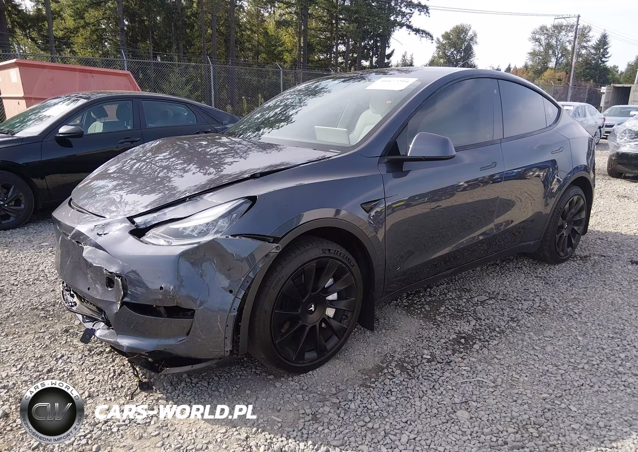 2020 Tesla Model Y Long Range Dual Motor All-Wheel Drive VIN:5YJYGDEE7LF034792 - 2