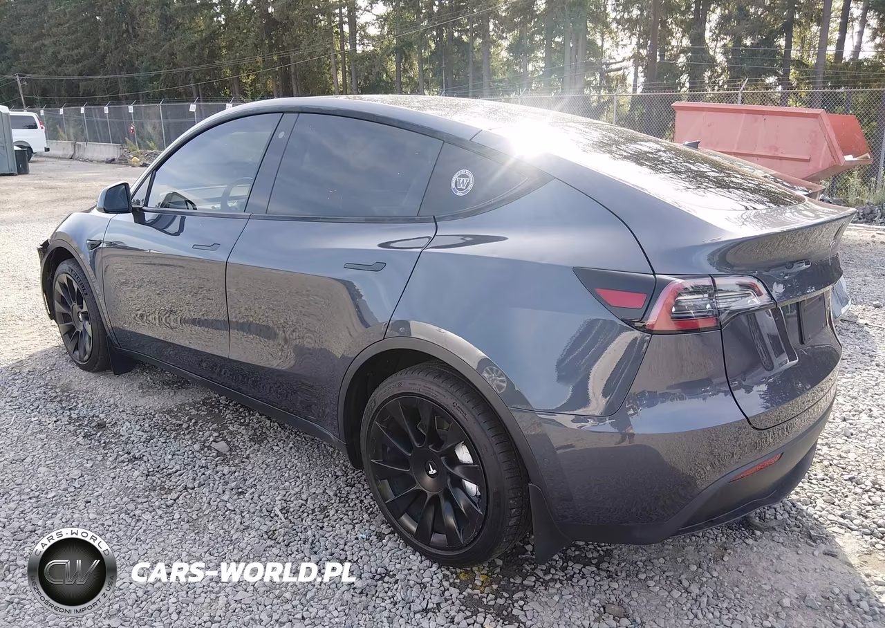 2020 Tesla Model Y Long Range Dual Motor All-Wheel Drive VIN:5YJYGDEE7LF034792 - 3