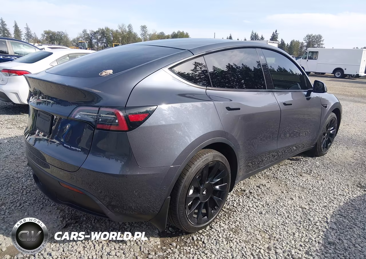 2020 Tesla Model Y Long Range Dual Motor All-Wheel Drive VIN:5YJYGDEE7LF034792 - 4