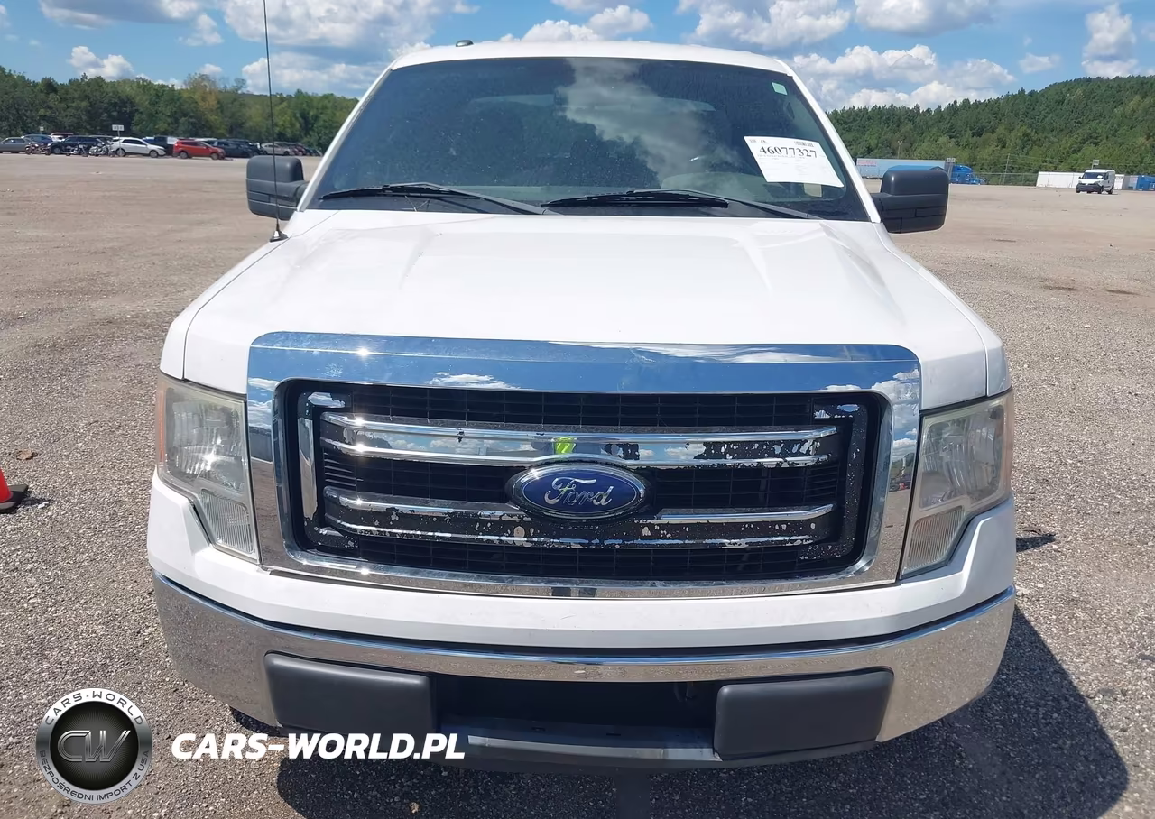 2013 Ford F-150 Xlt VIN:1FTEX1CM0DFC82181 - 13