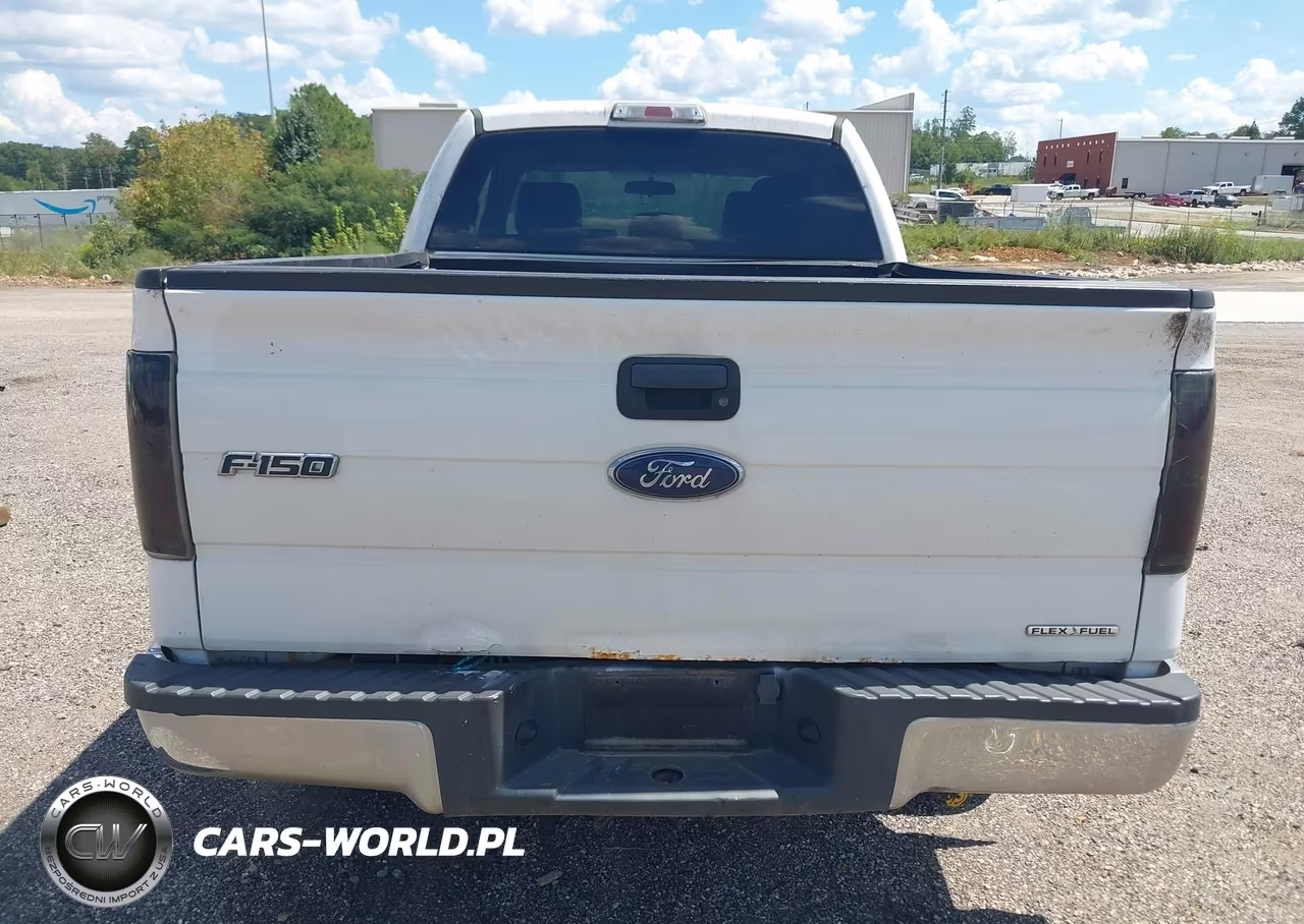 2013 Ford F-150 Xlt VIN:1FTEX1CM0DFC82181 - 17