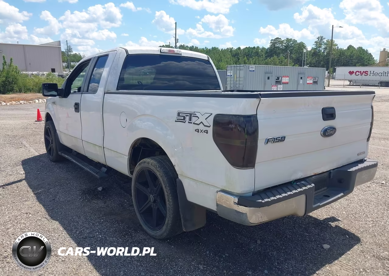 2013 Ford F-150 Xlt VIN:1FTEX1CM0DFC82181 - 3