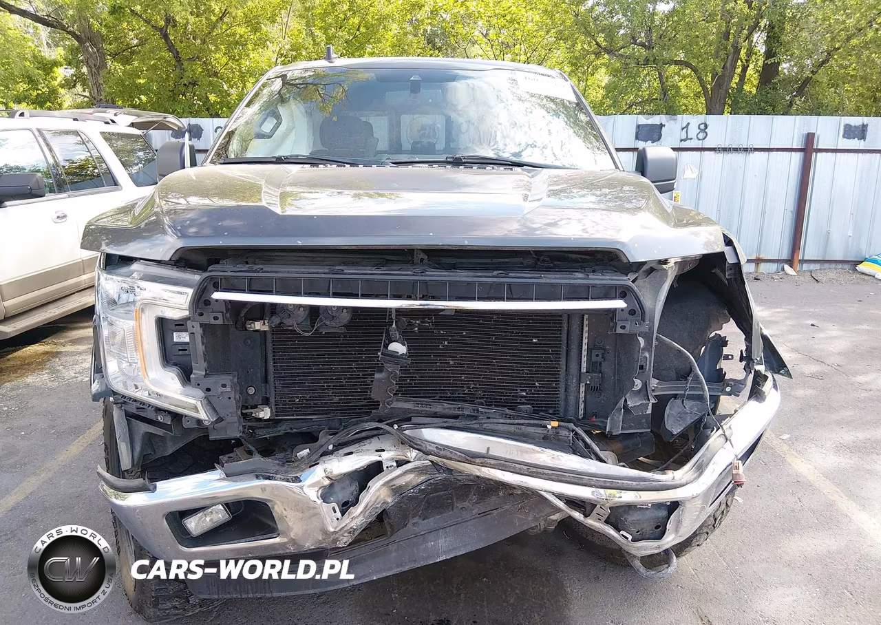 2019 Ford F-150 Xlt VIN:1FTEW1E48KKE22210 - 12