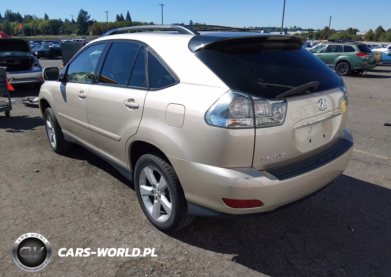 2004 Lexus Rx 330 VIN:JTJHA31U140019484 - 3