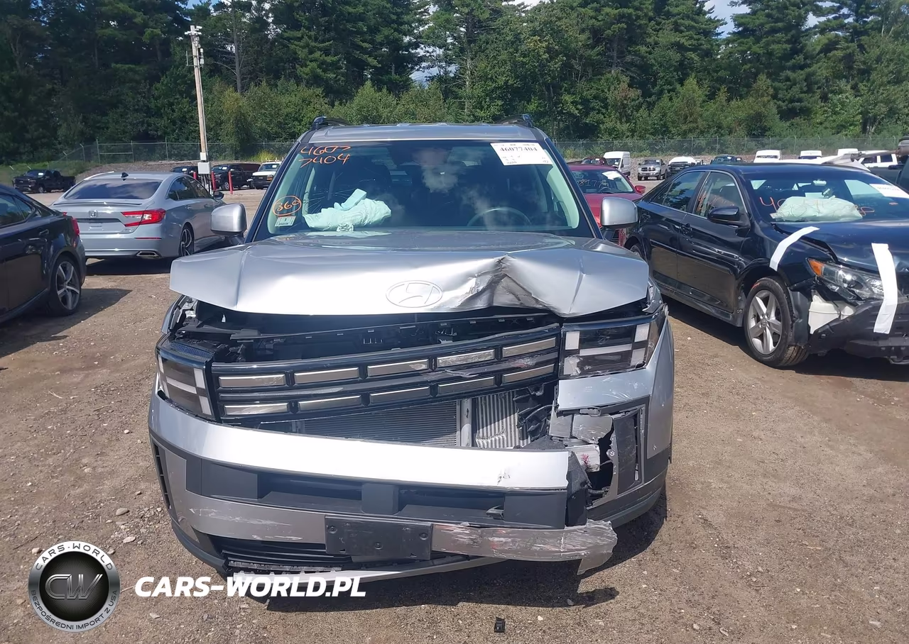 2024 Hyundai Santa Fe Sel VIN:5NMP2DGL3RH003522 - 12