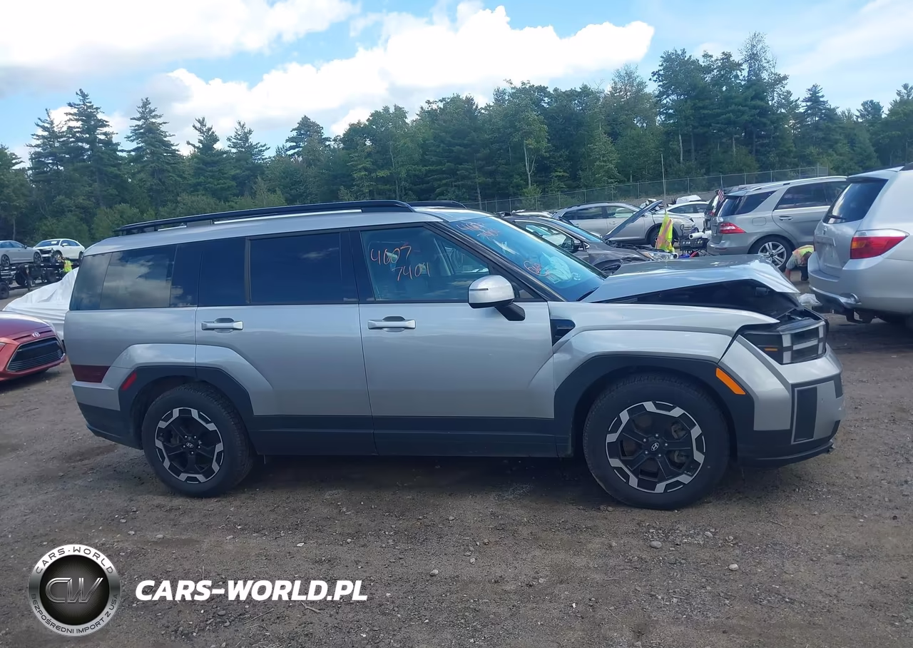 2024 Hyundai Santa Fe Sel VIN:5NMP2DGL3RH003522 - 13