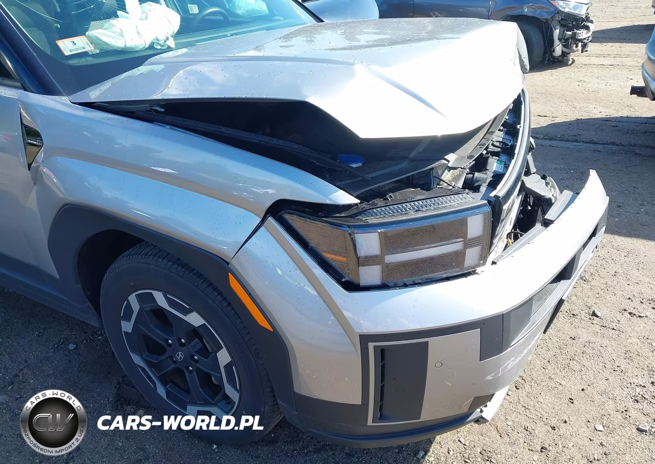 2024 Hyundai Santa Fe Sel VIN:5NMP2DGL3RH003522 - 19