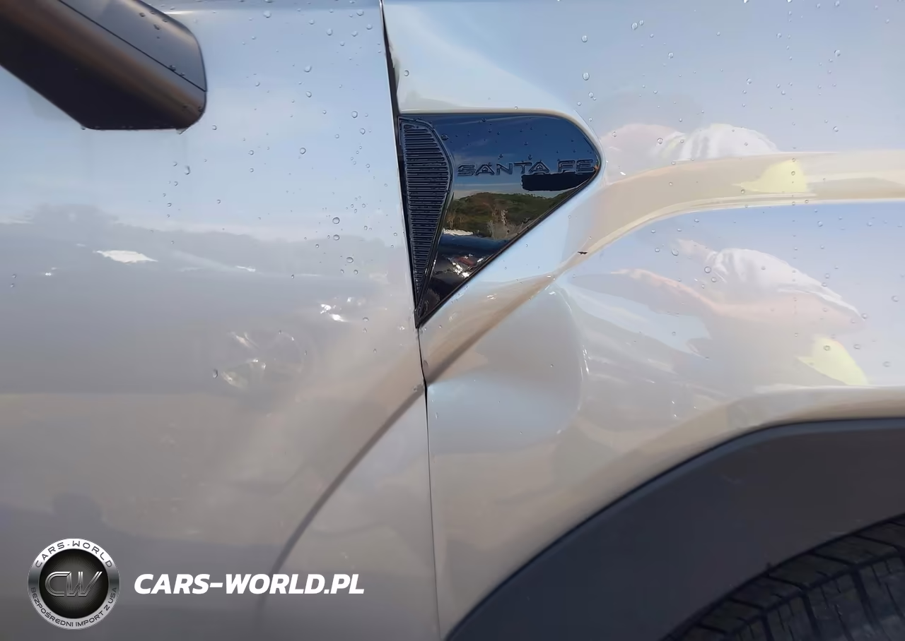 2024 Hyundai Santa Fe Sel VIN:5NMP2DGL3RH003522 - 21