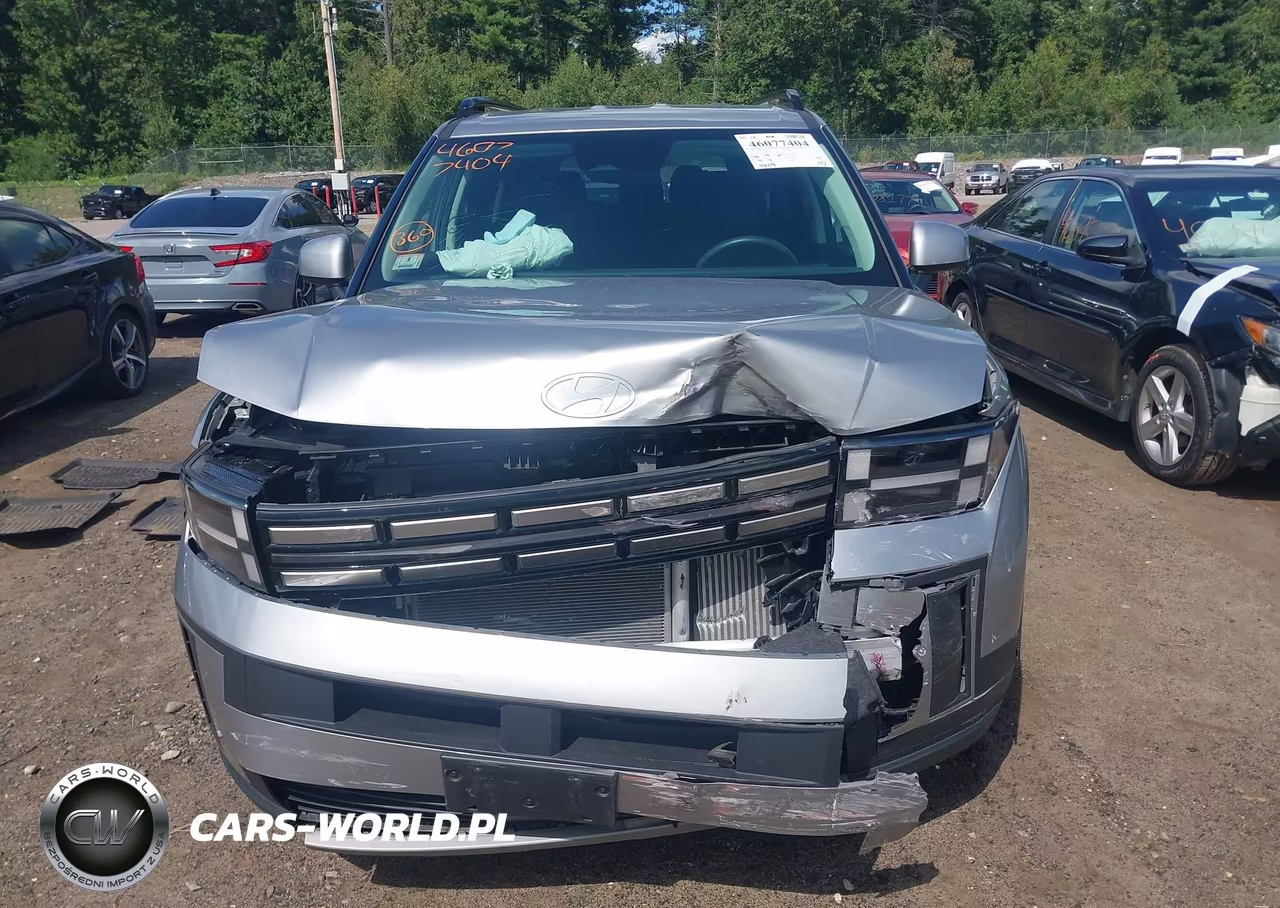 2024 Hyundai Santa Fe Sel VIN:5NMP2DGL3RH003522 - 6