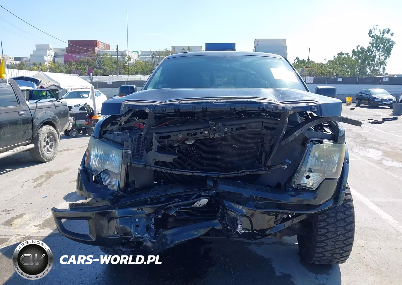 2010 Ford F-150 Fx4-Harley-Davidson-King Ranch-Lariat-Platinum-Xl-Xlt VIN:1FTFW1EV6AFD80172 - 12