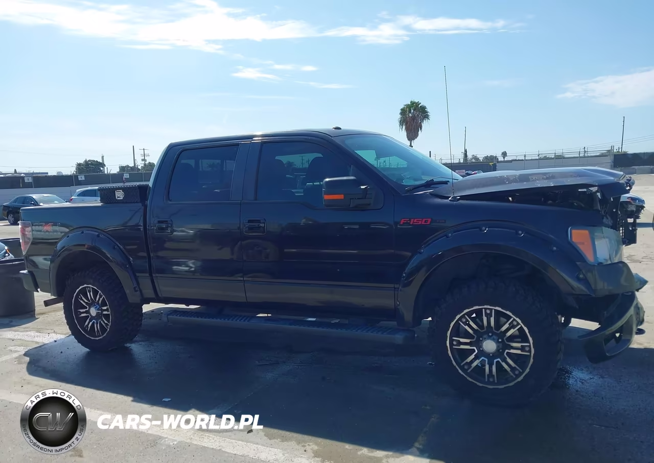 2010 Ford F-150 Fx4-Harley-Davidson-King Ranch-Lariat-Platinum-Xl-Xlt VIN:1FTFW1EV6AFD80172 - 13