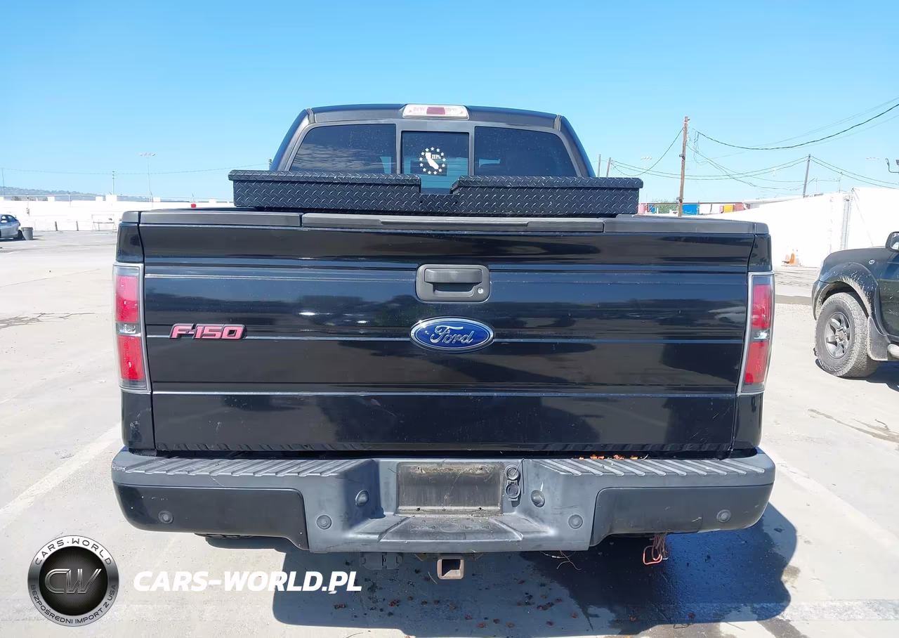 2010 Ford F-150 Fx4-Harley-Davidson-King Ranch-Lariat-Platinum-Xl-Xlt VIN:1FTFW1EV6AFD80172 - 16