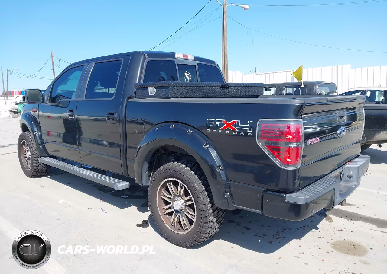 2010 Ford F-150 Fx4-Harley-Davidson-King Ranch-Lariat-Platinum-Xl-Xlt VIN:1FTFW1EV6AFD80172 - 3