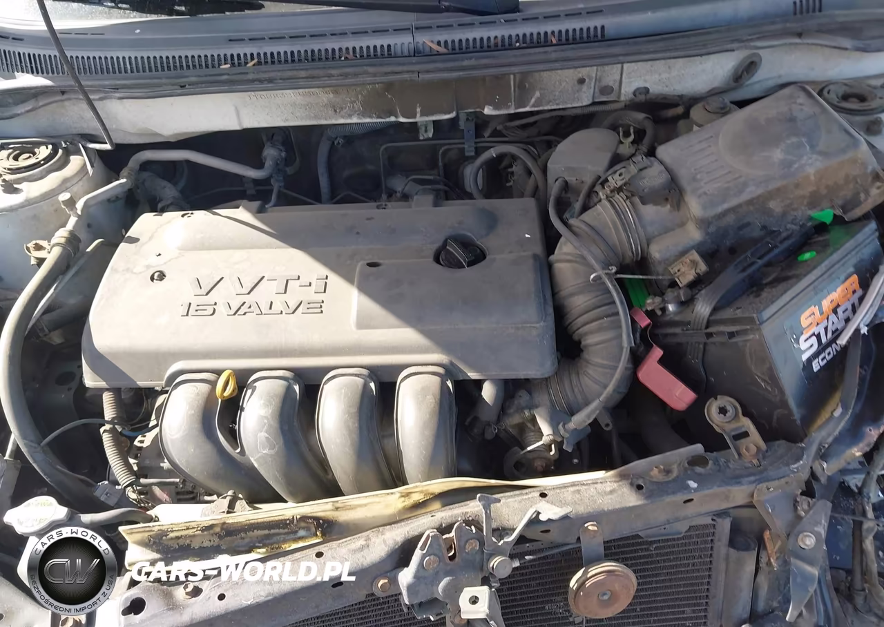 2003 Toyota Corolla Le VIN:JTDBR32E530043214 - 10