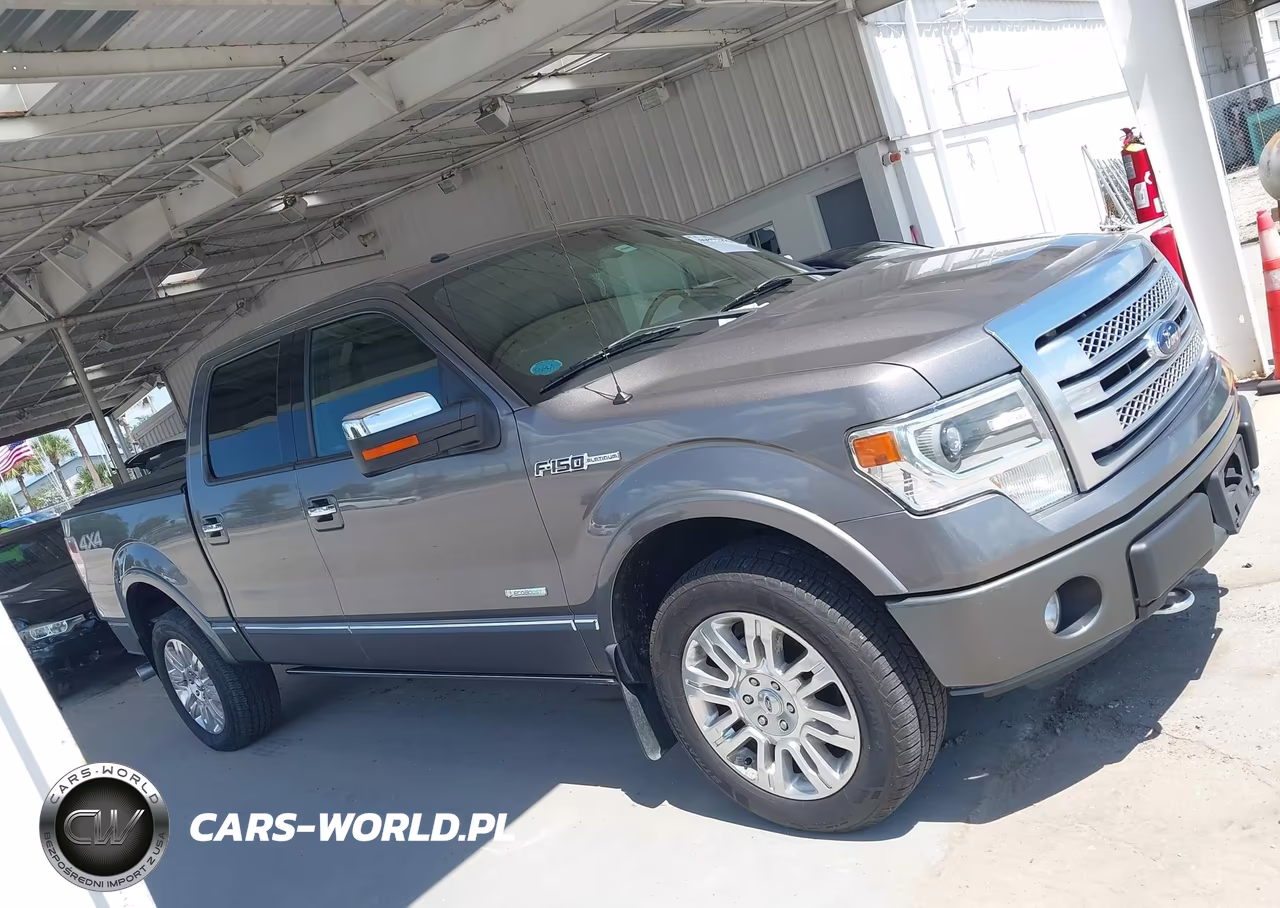 2013 Ford F-150 Platinum VIN:1FTFW1ET2DFD83704 - 14