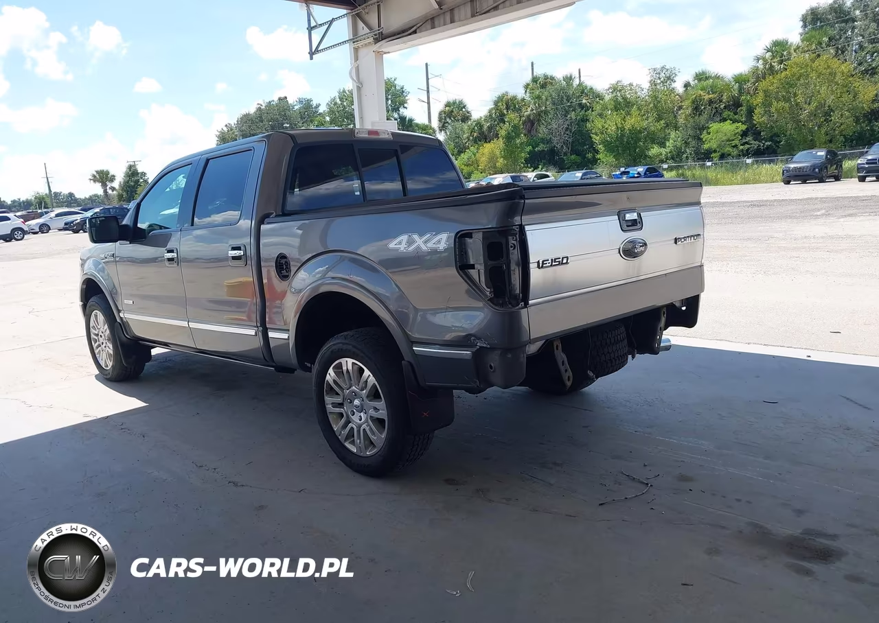 2013 Ford F-150 Platinum VIN:1FTFW1ET2DFD83704 - 3