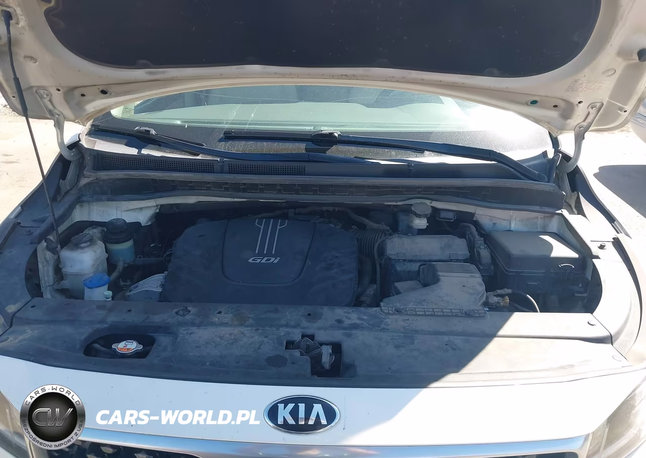 2016 Kia Sedona Lx VIN:KNDMB5C13G6085890 - 10