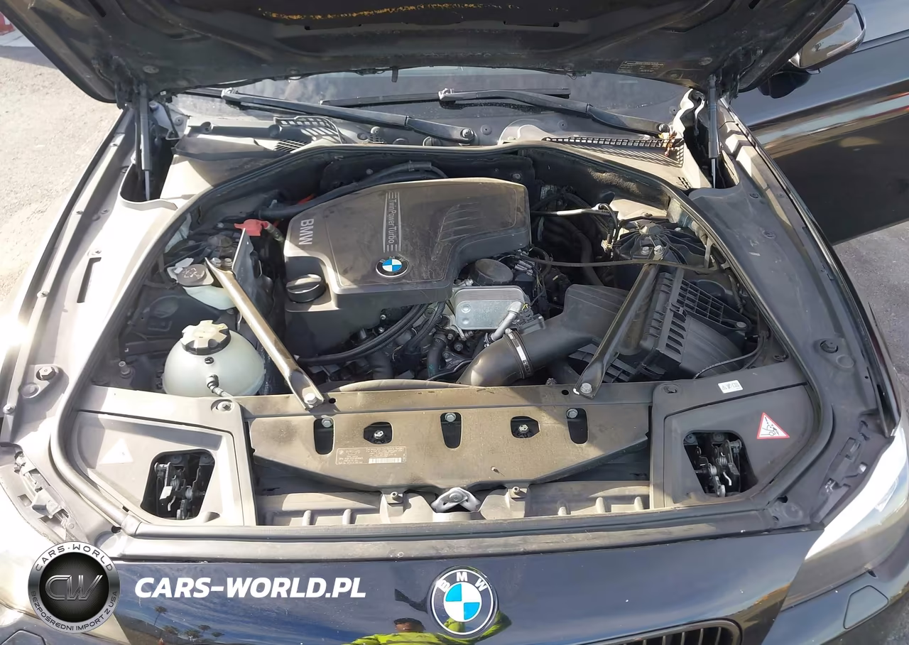 2014 BMW 528I VIN:WBA5A5C58ED506454 - 10