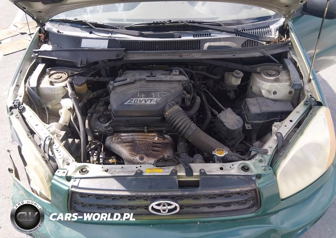 2003 Toyota Rav4 VIN:JTEGH20V930120054 - 10