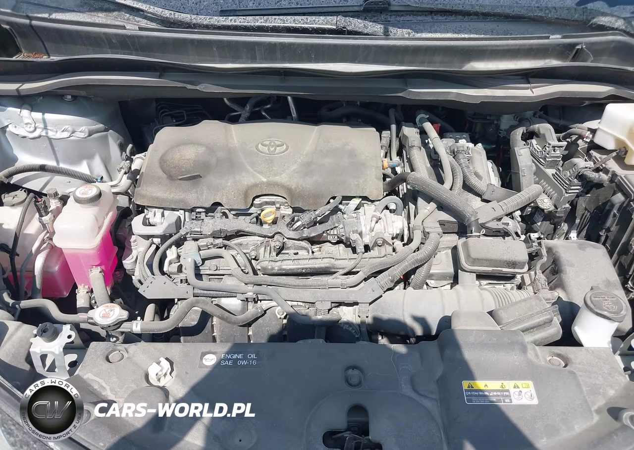 2023 Toyota Sienna Xle VIN:5TDYRKEC8PS167222 - 10