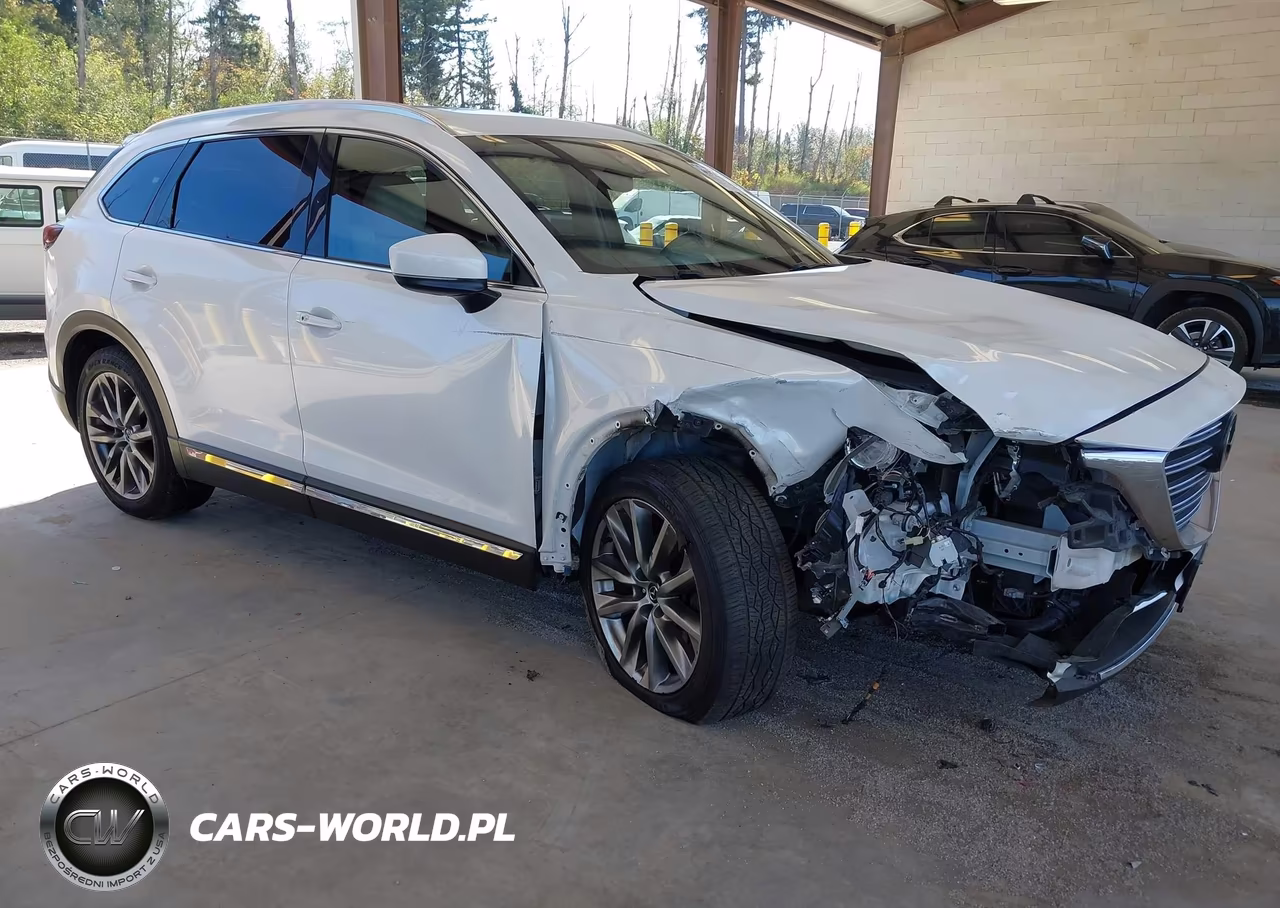 2016 Mazda Cx-9 Grand Touring VIN:JM3TCBDY1G0123985 - 1