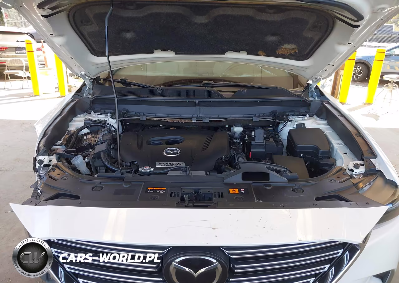 2016 Mazda Cx-9 Grand Touring VIN:JM3TCBDY1G0123985 - 10