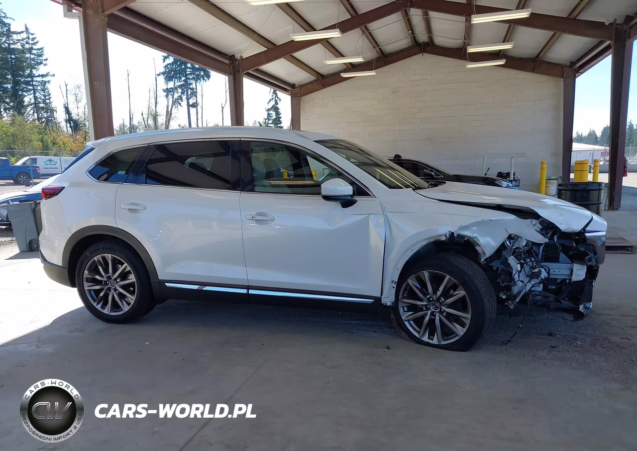 2016 Mazda Cx-9 Grand Touring VIN:JM3TCBDY1G0123985 - 13