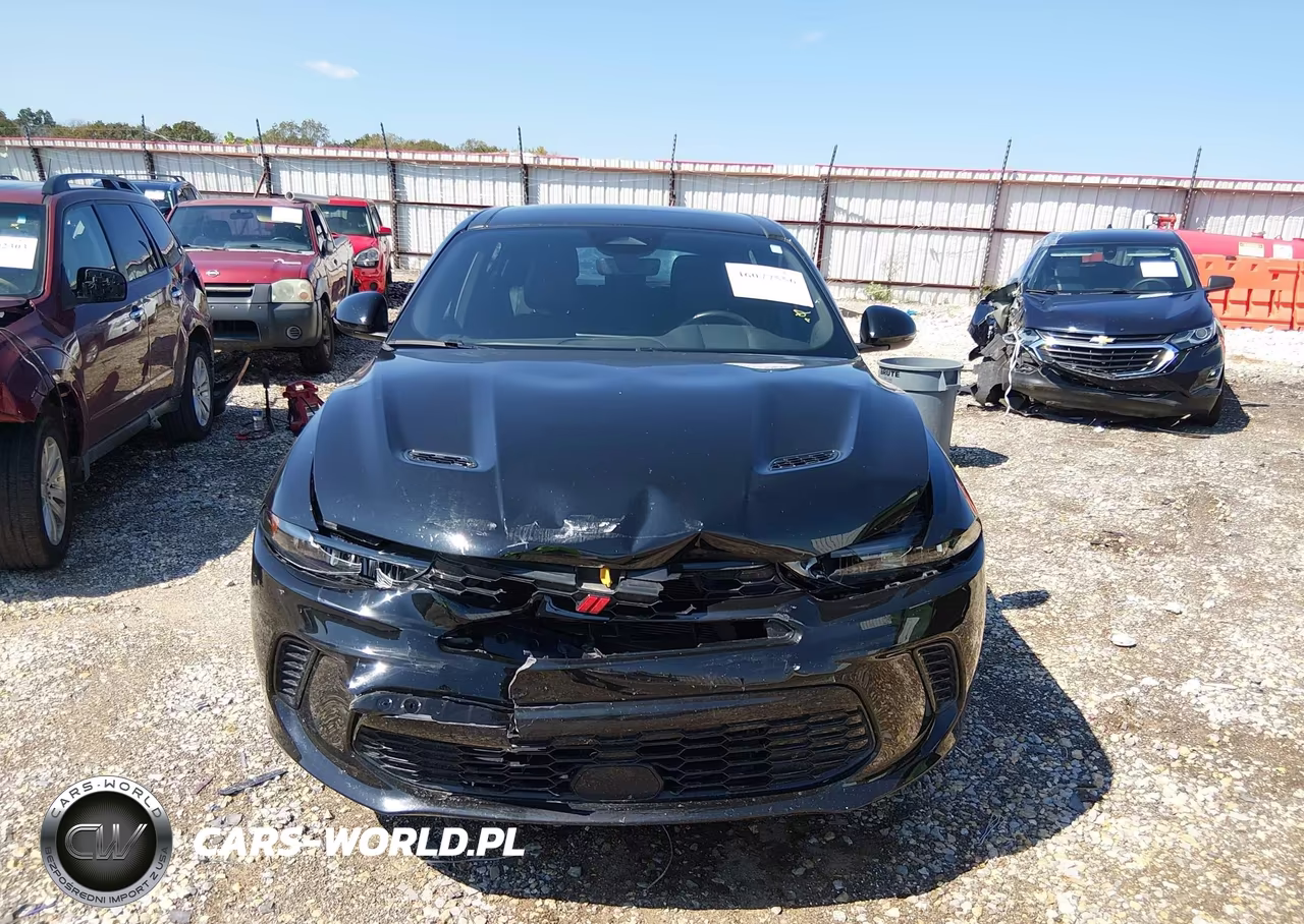 2024 Dodge Hornet R-T Plus Eawd VIN:ZACPDFDW0R3A26620 - 12