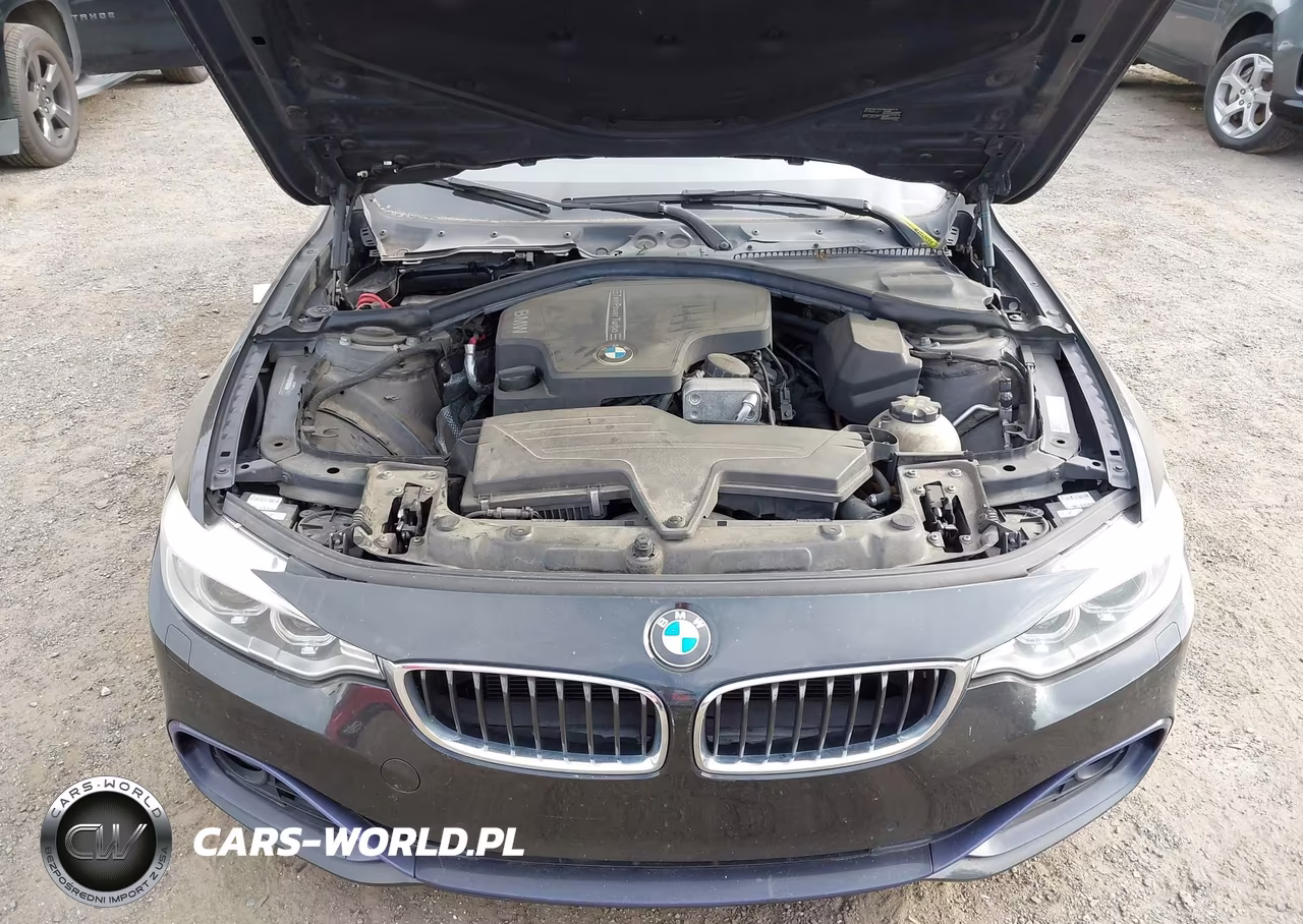 2014 BMW 428I xDrive VIN:WBA3N9C57EK246093 - 10