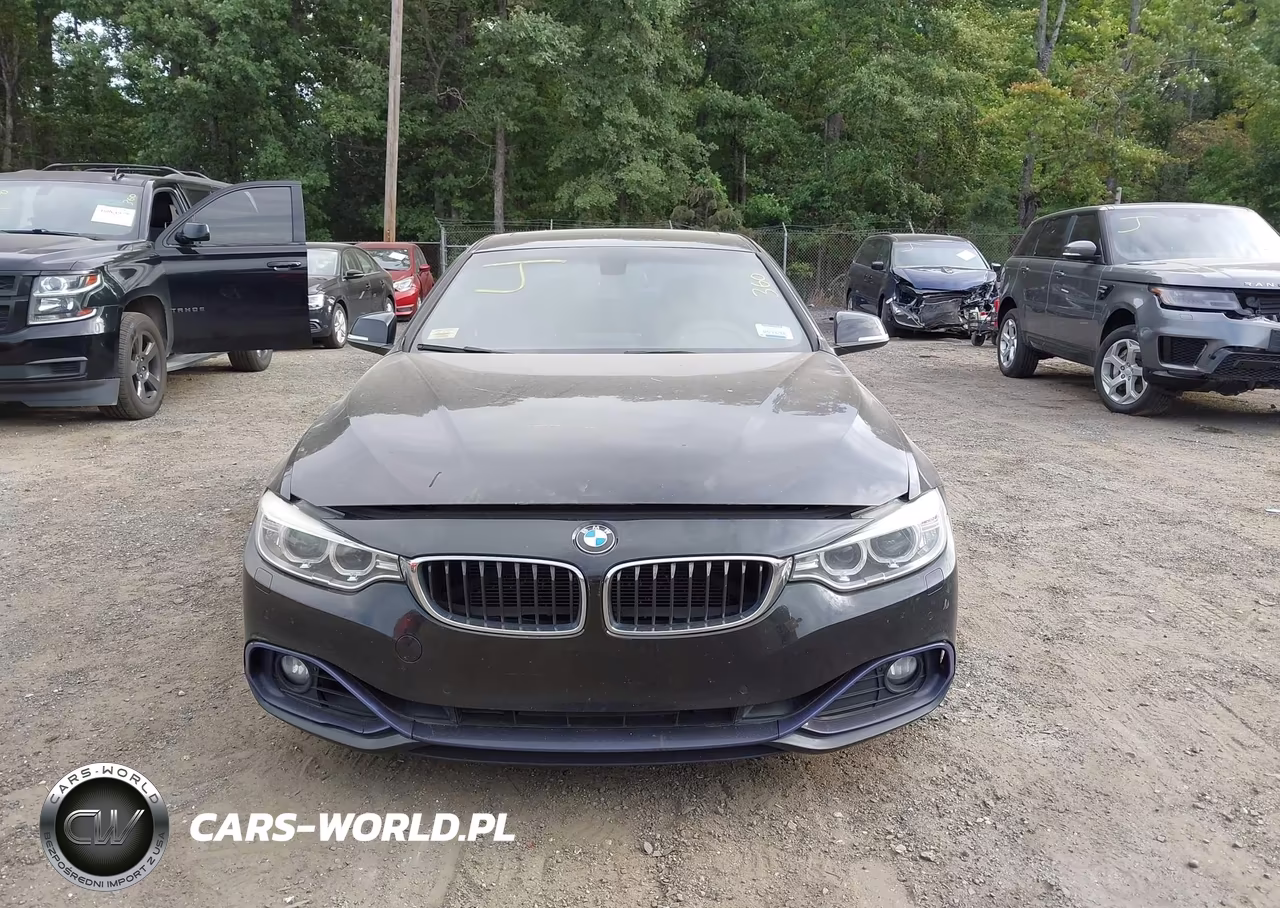 2014 BMW 428I xDrive VIN:WBA3N9C57EK246093 - 12