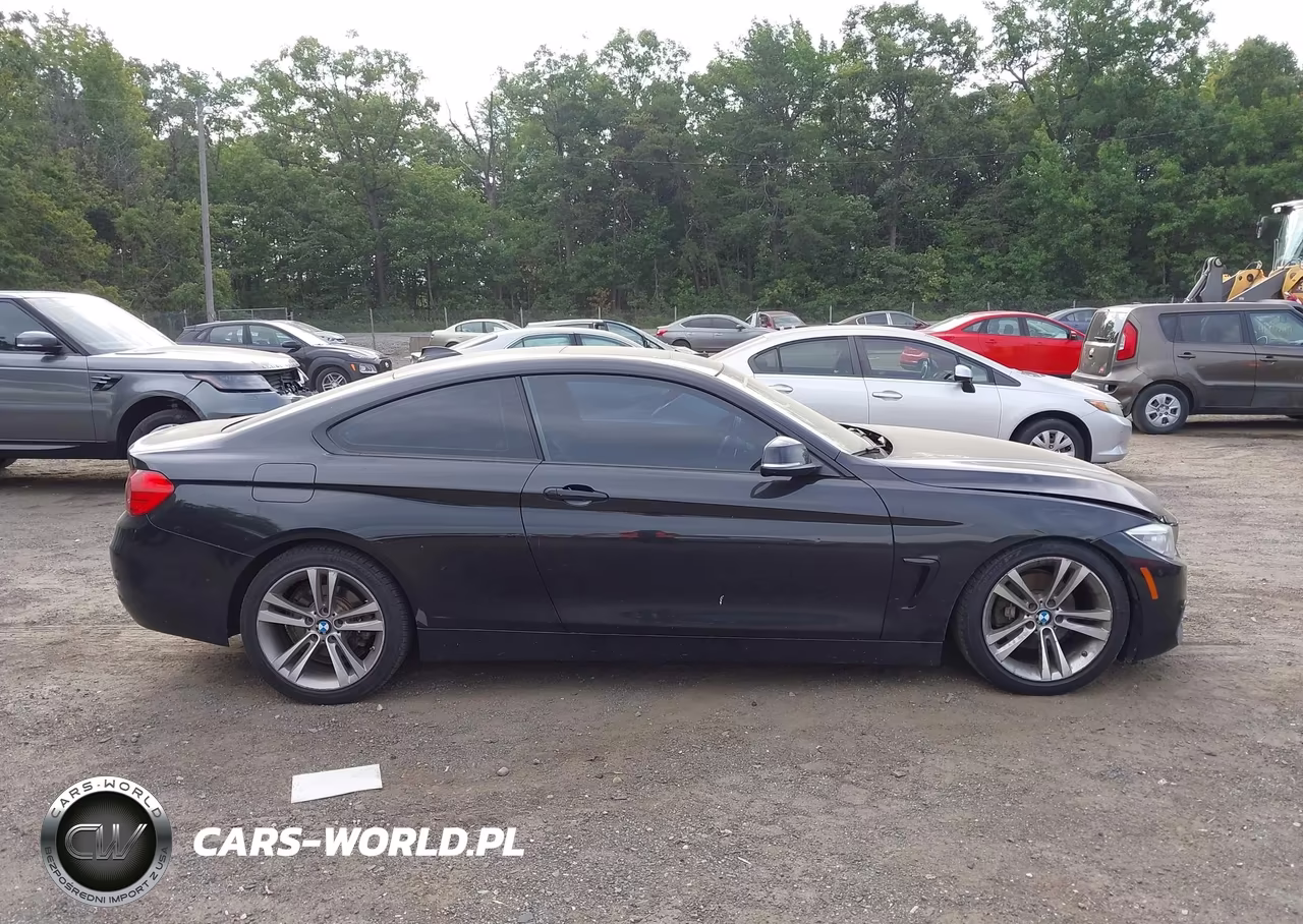 2014 BMW 428I xDrive VIN:WBA3N9C57EK246093 - 13