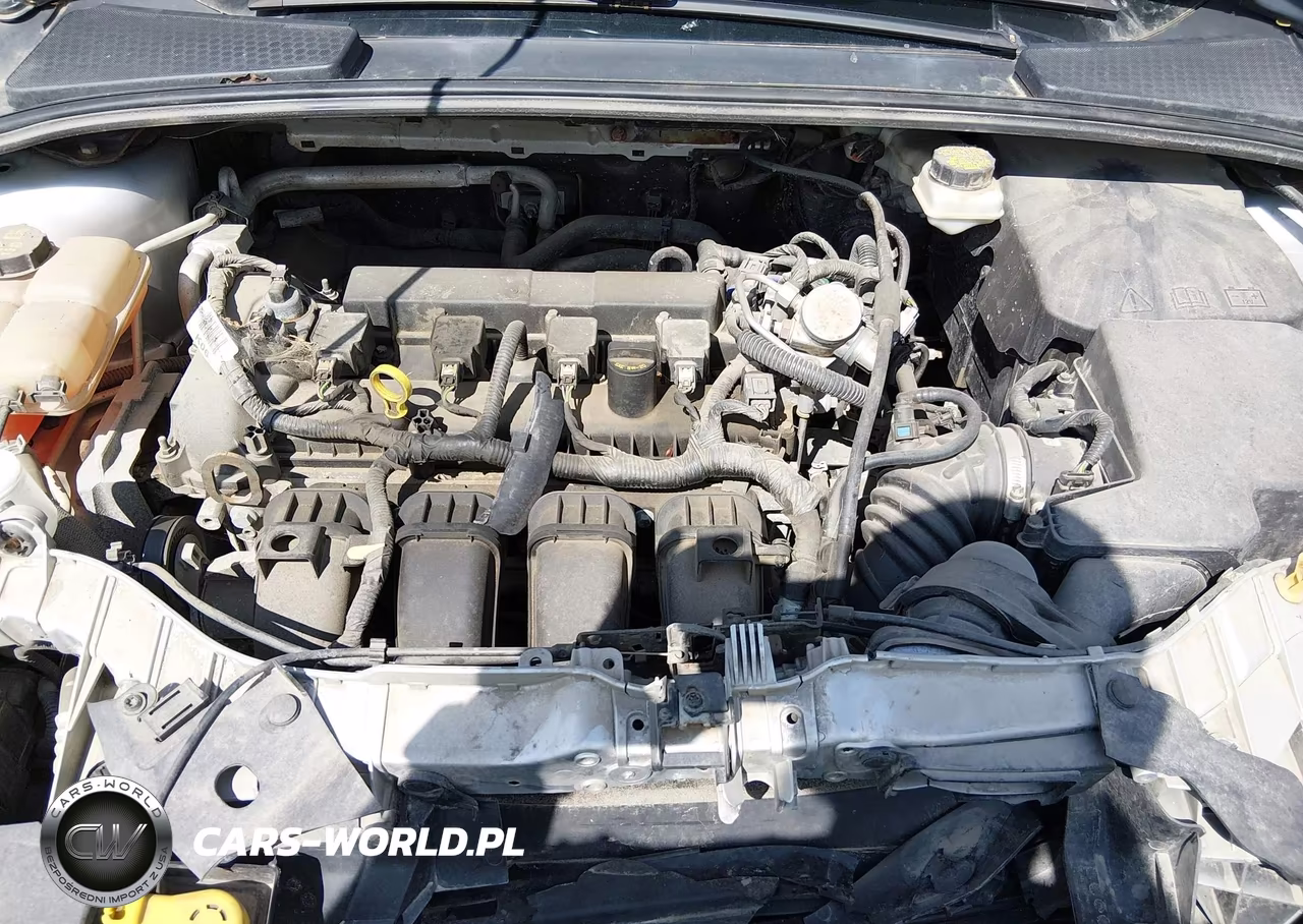 2017 Ford Focus Se VIN:1FADP3F28HL225774 - 10