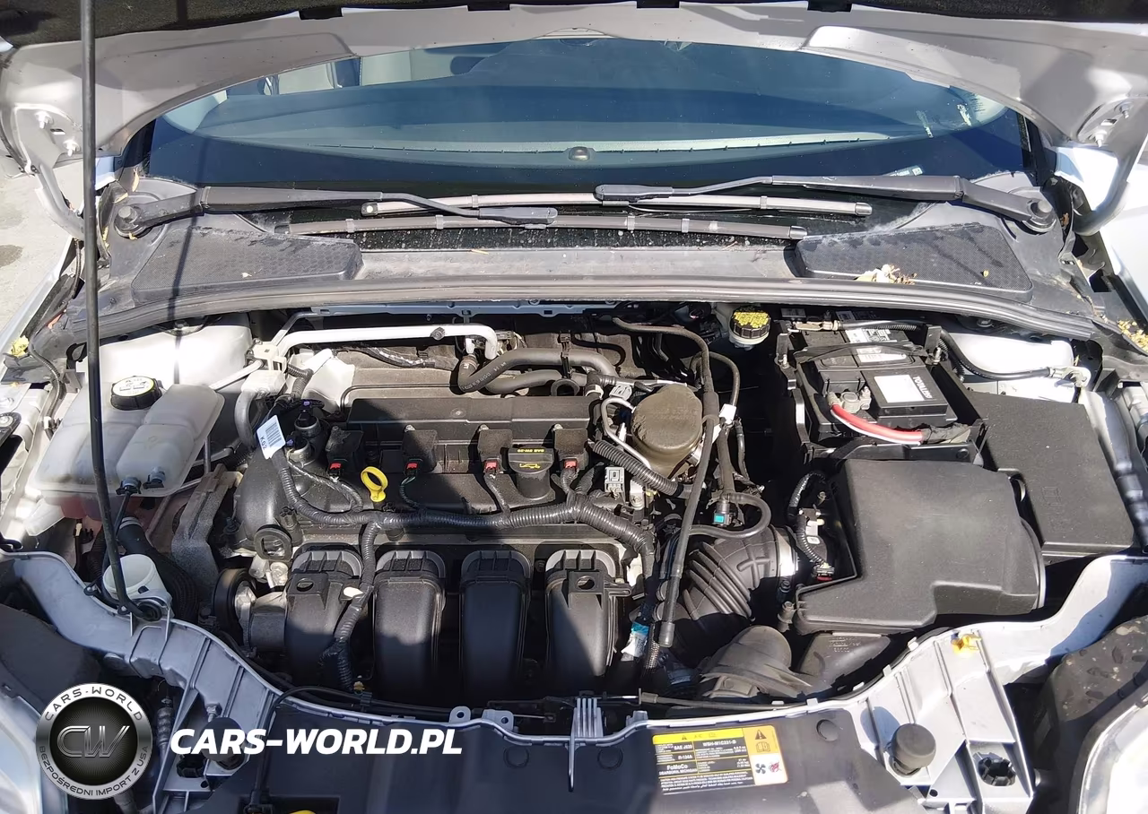 2014 Ford Focus Se VIN:1FADP3F27EL248068 - 10