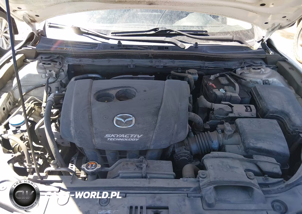 2016 Mazda Mazda3 I Sport VIN:JM1BM1T79G1279545 - 10