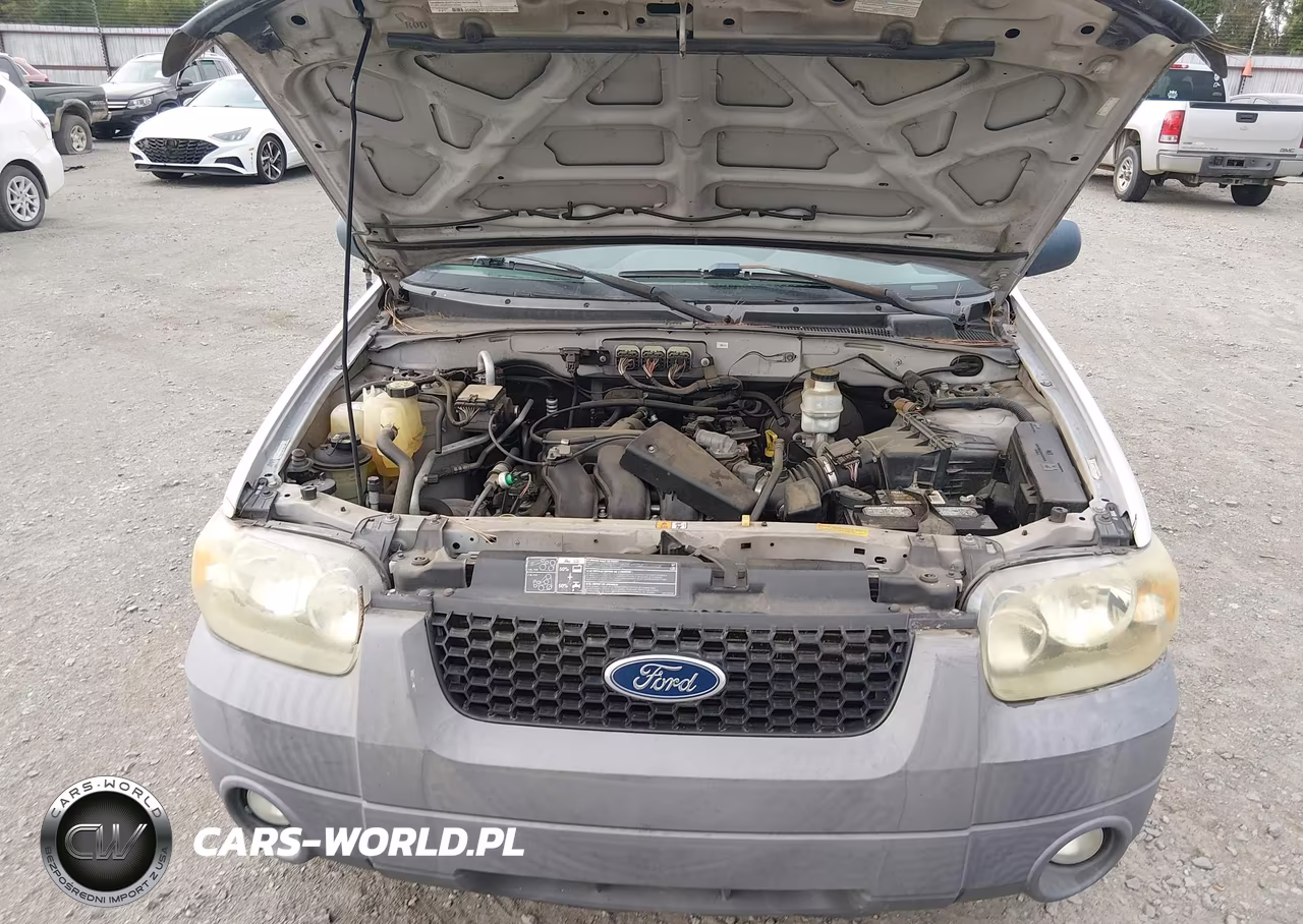 2007 Ford Escape Xlt-Xlt Sport VIN:1FMCU03187KB27918 - 10